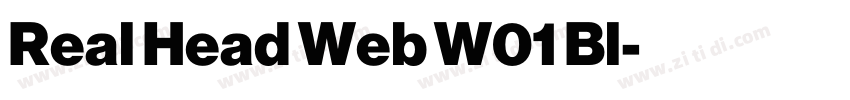 Real Head Web W01 Bl字体转换 Real Head Web W01 Bl字体转换